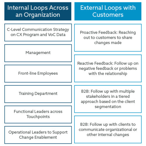 Turning VoC Data into Actionable Customer Experience Insights